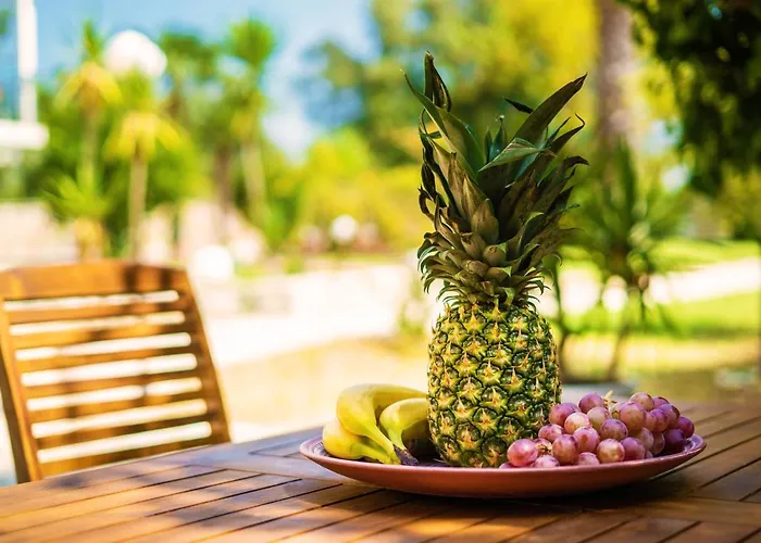 Lejlighed Niver Luxury